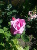 20140705_105642