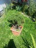 20140705_105726