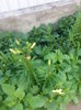 20140705_105751