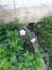 20140705_105758
