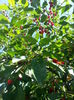 20140705_105816