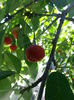 20140705_105839