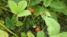 DSCF5344