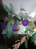 IMG-20140705-WA0020