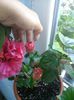 IMG-20140705-WA0007