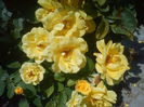 DSC00942