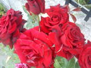 DSC00160