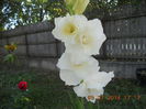DSCN3228