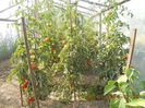 DSCN3239