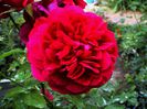 DSC00665