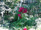 IMG_20140705_153831