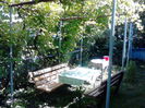 pergola iulie 2014