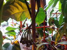 IMG_20140602_090959