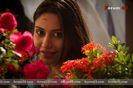 Qubool-Hai-Forum32-2143