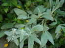 DSCN0014
