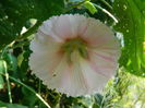 DSCN0015
