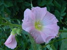 DSCN0019