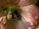 DSCN0035