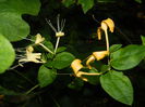 DSCN0042