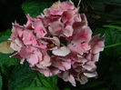 DSCN0050