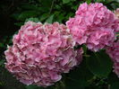 DSCN0053