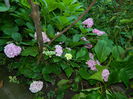 DSCN0061