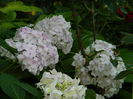 DSCN0062