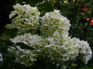 DSCN0064