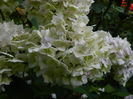 DSCN0065