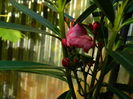 DSCN0080