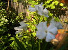 DSCN0082