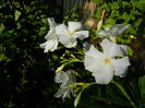 DSCN0085