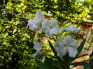 DSCN0087