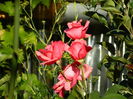 DSCN0103