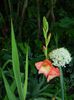 DSCN0108