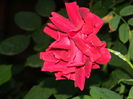 DSCN0110