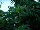 DSCN0112