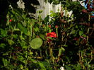 DSCN0114