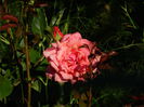 DSCN0116