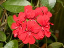 DSCN9958
