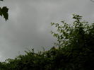 DSCN9968