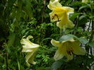 DSCN9977