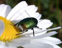 IMG_20140622_093812-002