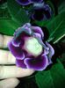 20140630_215252