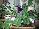 20140630_215346