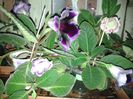 20140630_215352