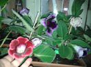 20140630_215413