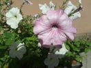 20140706_121534