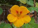 20140706_121546