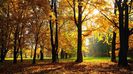 autumn_season-1920x1080